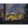 Plug & Shine | LED zahradní reflektor | Shira | RGBW