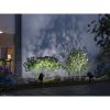 Plug & Shine | LED zahradní reflektor | Shira | RGBW