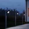 Solárne svetlo | XSolar GL-S | Strieborná | Senzor