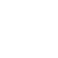 Hybrid Light Mode